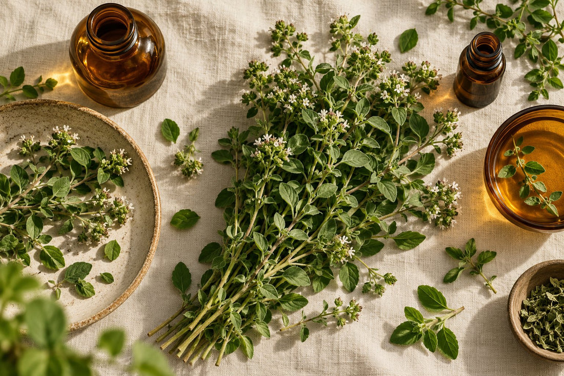 How to Choose the Best Oil of Oregano Supplement (And Why Most Fail the Label Test)
