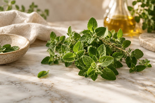 Does Taking Oregano Oil Have Side Effects? Here Is What the Evidence Actually Says