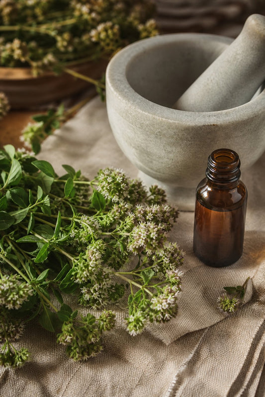 5 Signs Your Oil of Oregano Is Worth the Money (and 5 It Is Not)