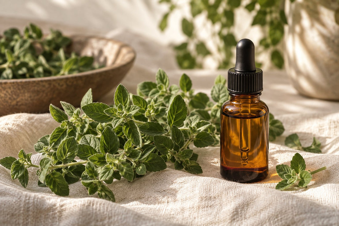 Oregano Oil and Yeast Overgrowth: What the Research Actually Shows