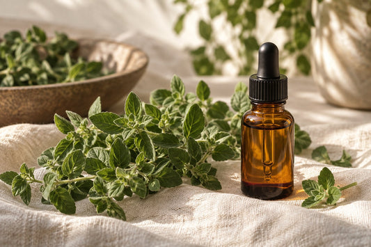 Oregano Oil and Yeast Overgrowth: What the Research Actually Shows