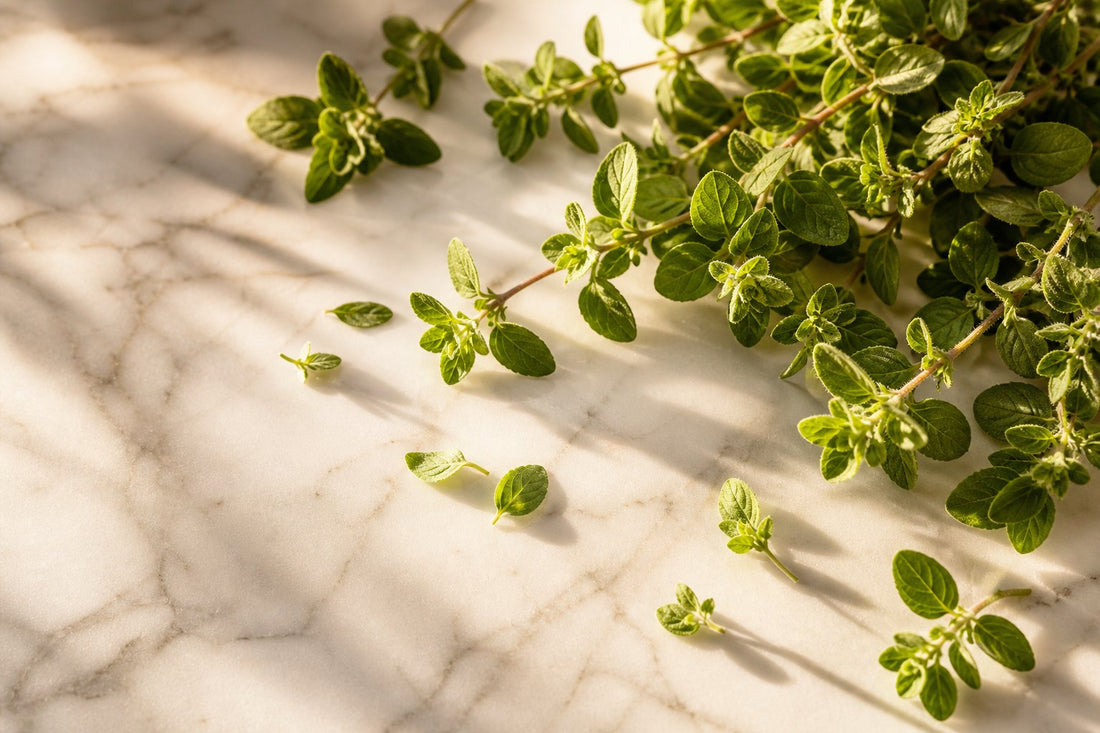 Should You Take Oregano Oil? 5 Signs It Might Be Worth a Try