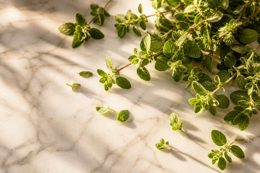 Should You Take Oregano Oil? 5 Signs It Might Be Worth a Try