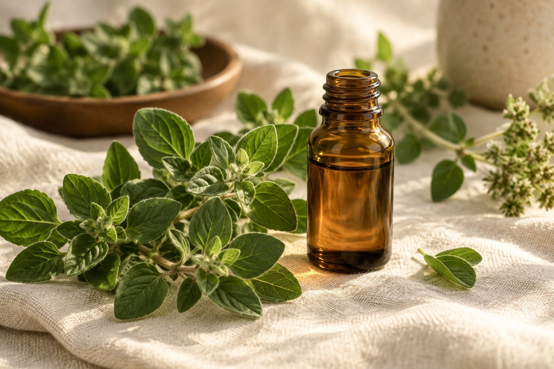 What Happens When You Actually Take Oregano Oil: The Benefits People Report (and Why Carvacrol Is the Key)
