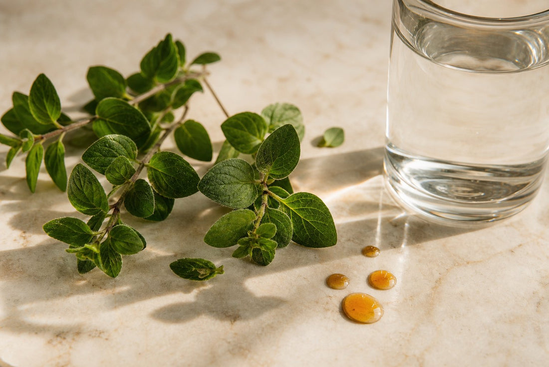 7 Signs Your Body Could Use Oregano Oil Support Right Now