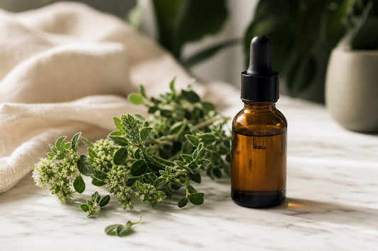 Why Take an Oregano Oil Supplement? The Mechanism Behind the Reputation
