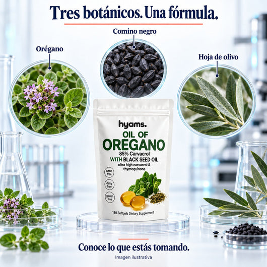 Tres botánicos en la fórmula: orégano, comino negro y hoja de olivo.